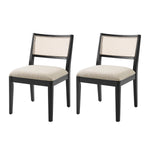 Aram Dining Chairs (Set of 2) - Black / 20